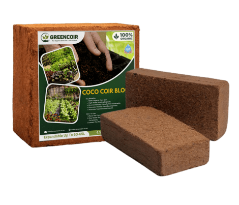 ⁠coco blocks - greencoir