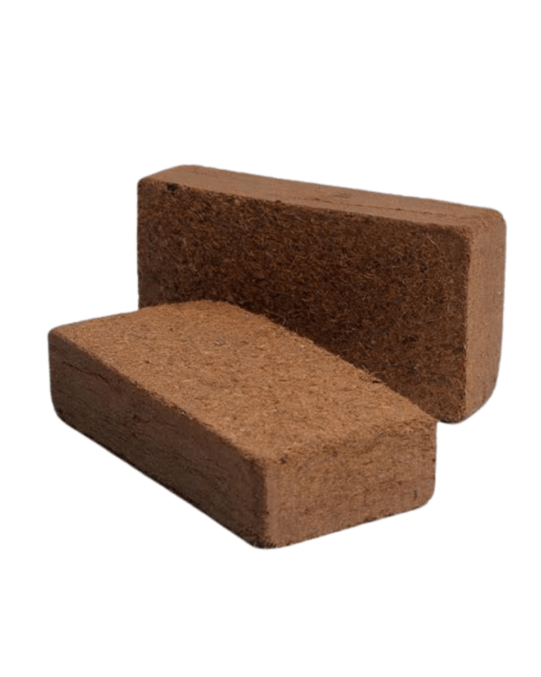 coco briquettes - greencoir